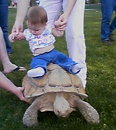 1909771476_ORIG[1].jpeg (25k image)